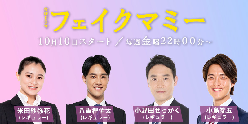 TBS「フェイクマミー」 